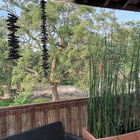 Confortable A Julien En Born 40 M² Terrasse Et Parking Apartment