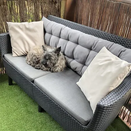 A Saint-julien 40 M² Avec Vue Jardin