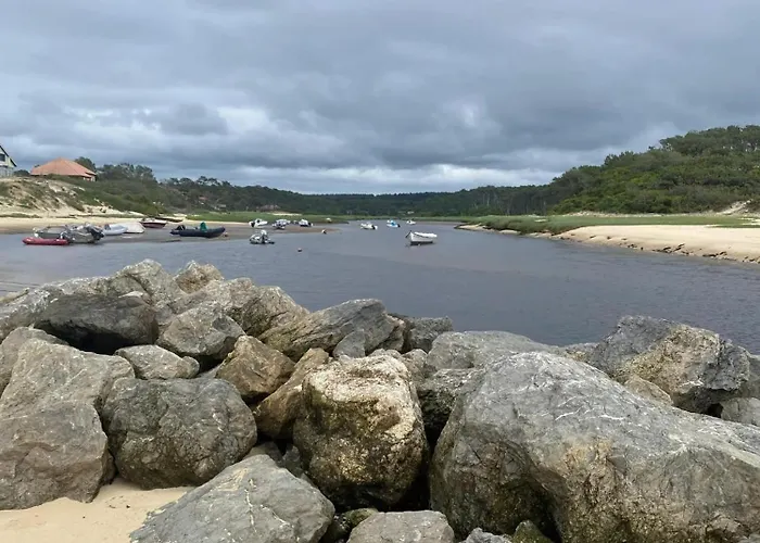 A Saint-julien 40 M² Avec Vue Jardin *