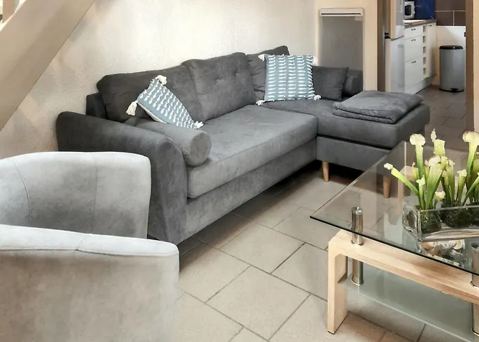 A Saint-julien 40 M² Avec Vue Jardin Saint-Julien-en-Born