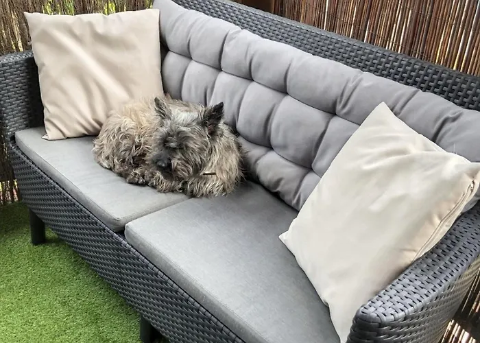 A Saint-julien 40 M² Avec Vue Jardin