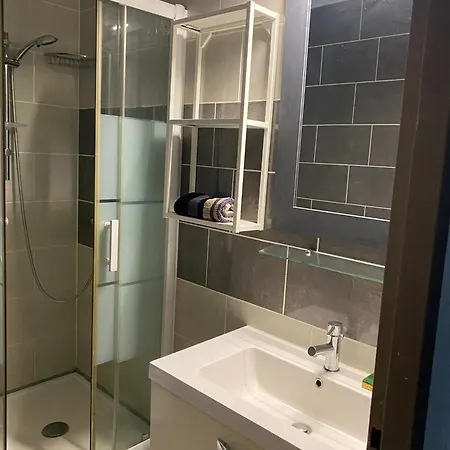 A Saint-julien 40 M² Avec Vue Jardin